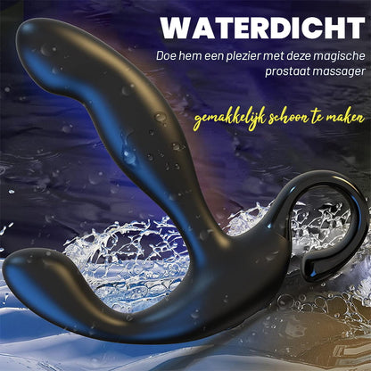 Aladdin 10 Golfbewegingen 10 Vibrerende Prostaat Stimulatie Beginner Anaal Speelgoed